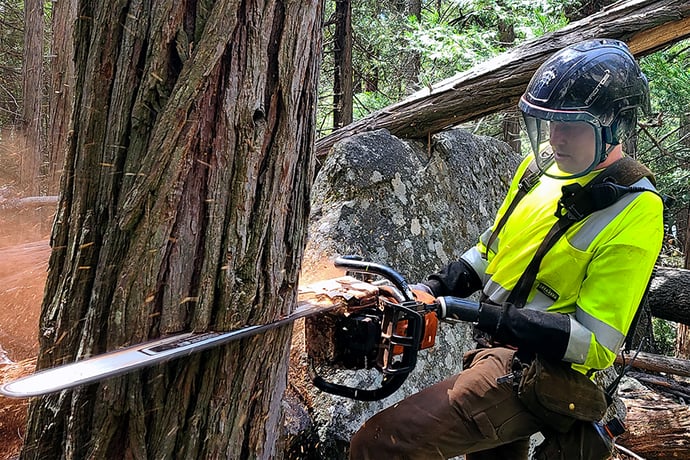 Austin Working with Chainsaw in Yosemite Park