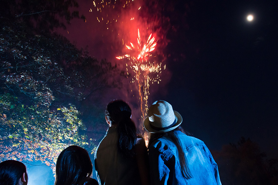 Fireworks-Listing