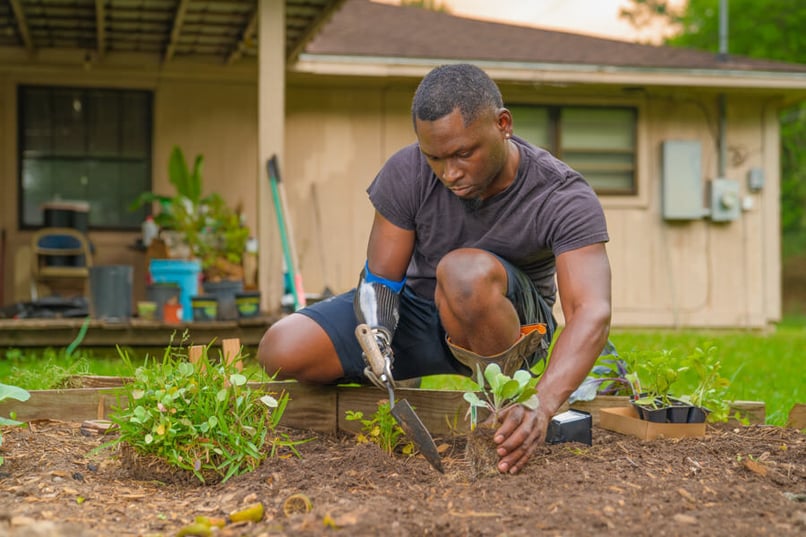 Organic Gardening with an ETD