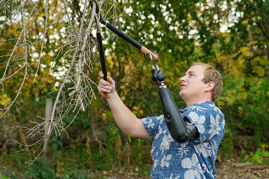 Petrus Clipping Tree for Homepage