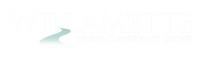 Willamette Nurse Consultant Group logo