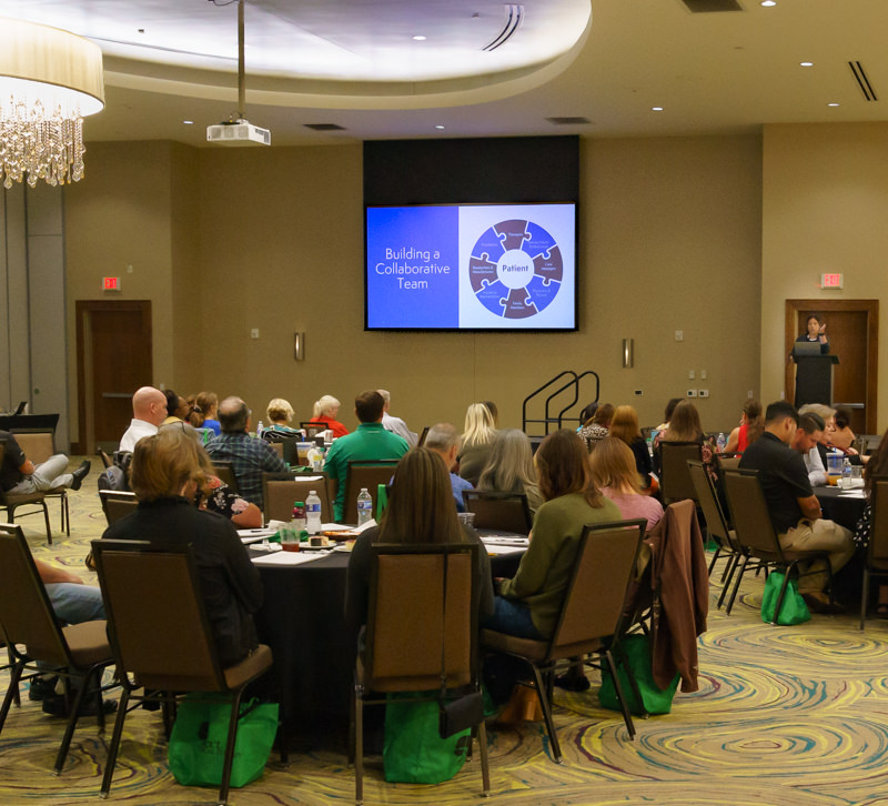Arm Dynamics Clinical Therapy Specialist gives presentation for a CEU course